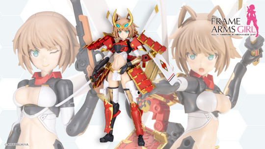 SHINGEN KAI