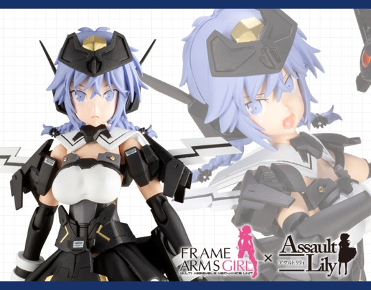 Frame Arms Girls 2021 checklist