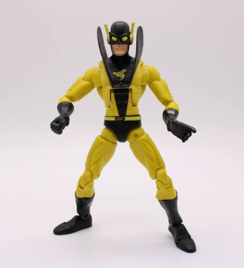 Display by RealDeal28365: Yellowjacket
