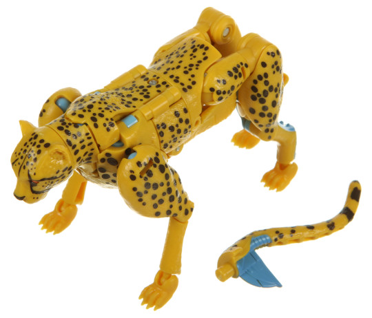 Display by Nuggeit: Cheetor (Kingdom)