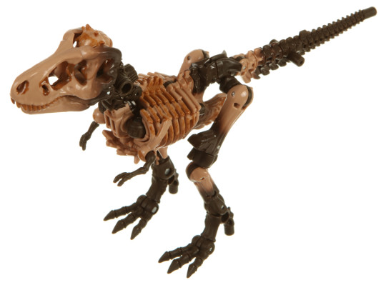 Display by Nuggeit: Paleotrex (Kingdom)
