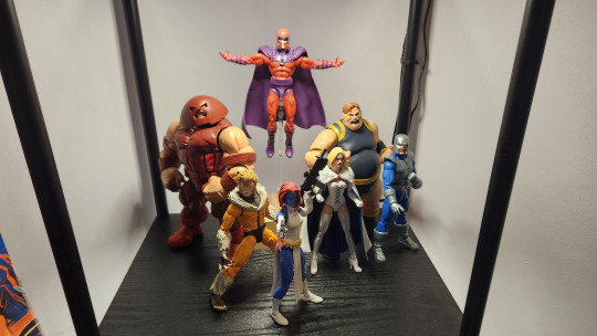 Display by Savag3Th3Punk