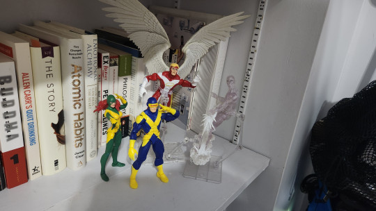 Display by Savag3Th3Punk