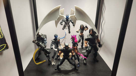 Display by Savag3Th3Punk