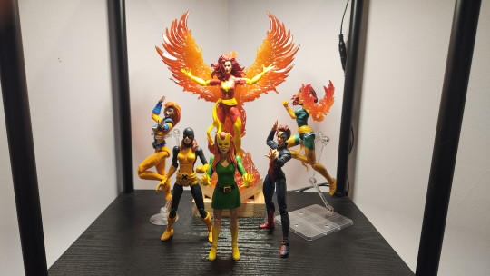 Display by Savag3Th3Punk