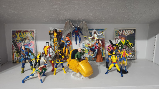 Display by Savag3Th3Punk