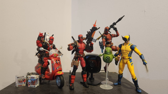 Display by Savag3Th3Punk