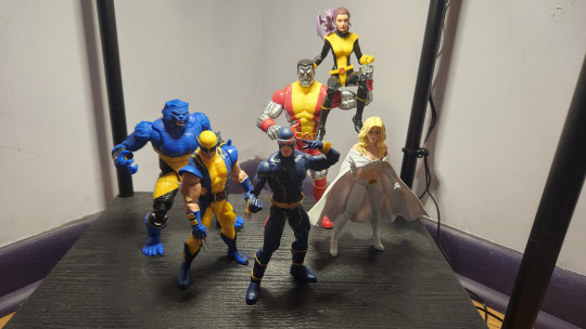 Display by Savag3Th3Punk