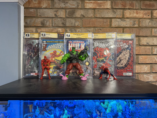 Display by Hoggie Jr.