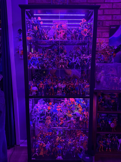 Display by Hoggie Jr.
