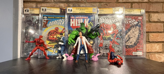 Display by Hoggie Jr.