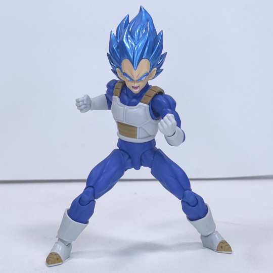Display by Conor46X: S.H. Figuarts: Super Saiyan God Super Saiyan Vegeta