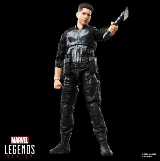 Display by VintimusPrime: Punisher [Daredevil: Born Again]