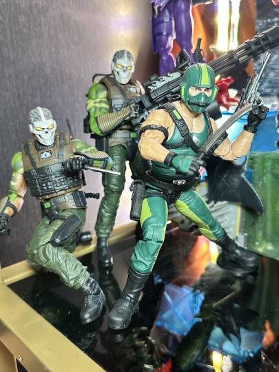 Display by MoClectic