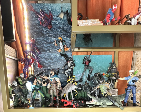 Display by MoClectic