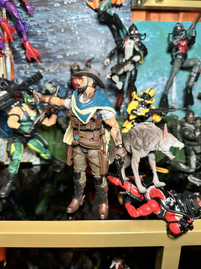 Display by MoClectic