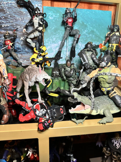 Display by MoClectic