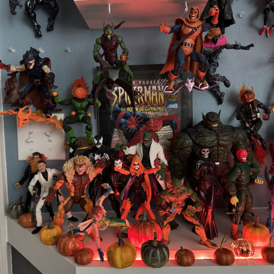 Display by Huntaur