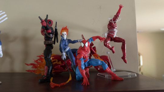 Display by Savunin