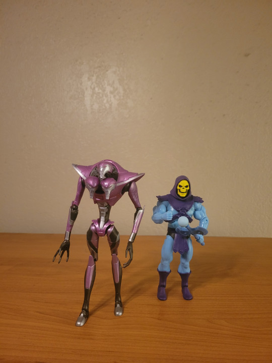 Collection win