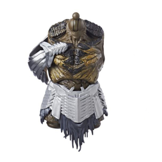 Torso
