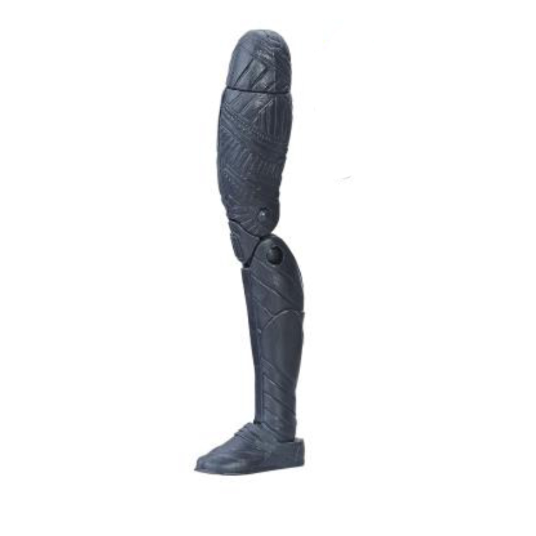 Left Leg