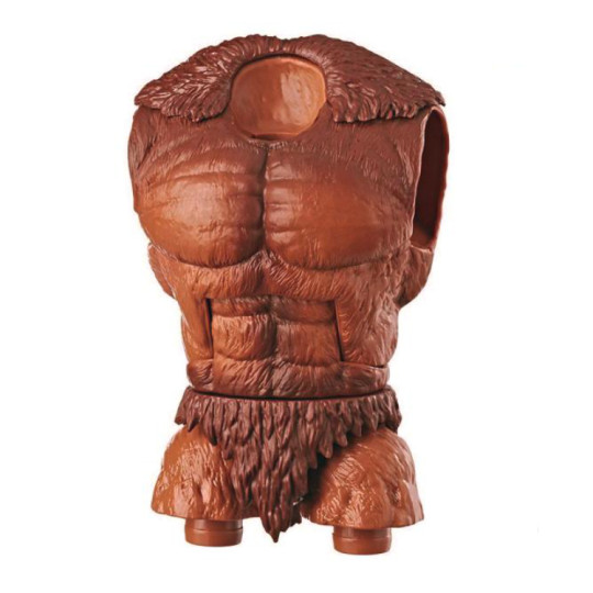 Torso