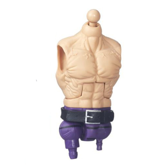 Torso