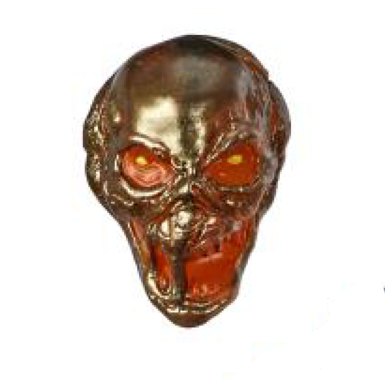 Head