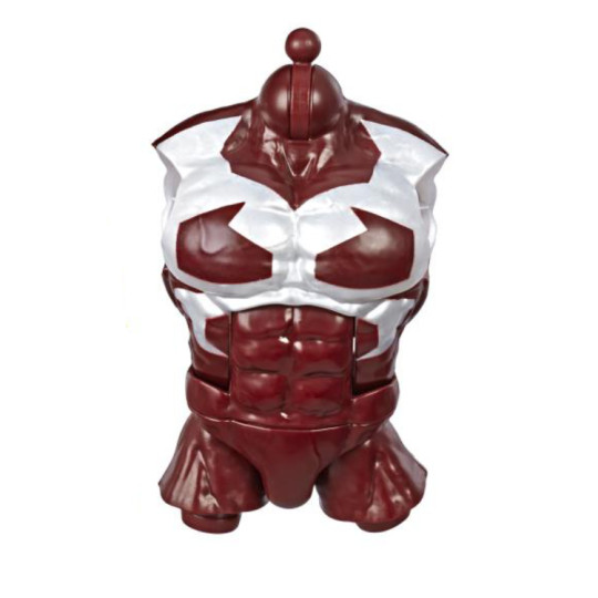 Torso