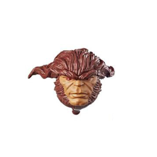Head