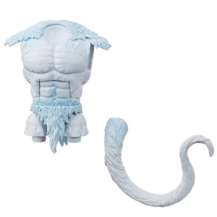 Torso