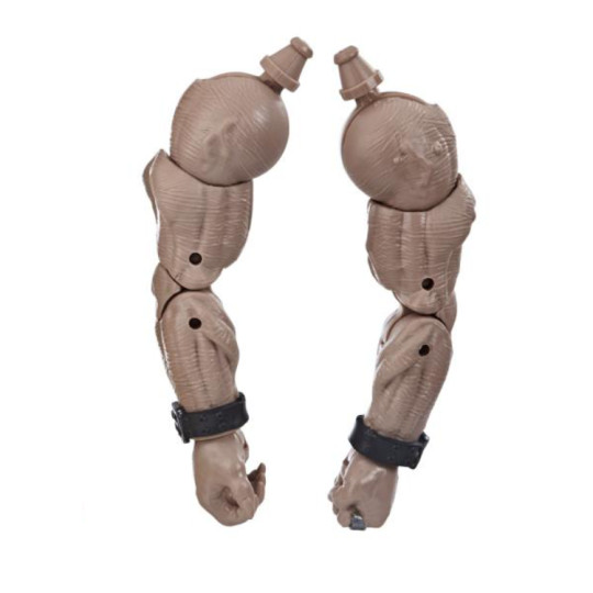 Arms