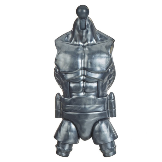 Torso