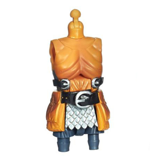 Torso