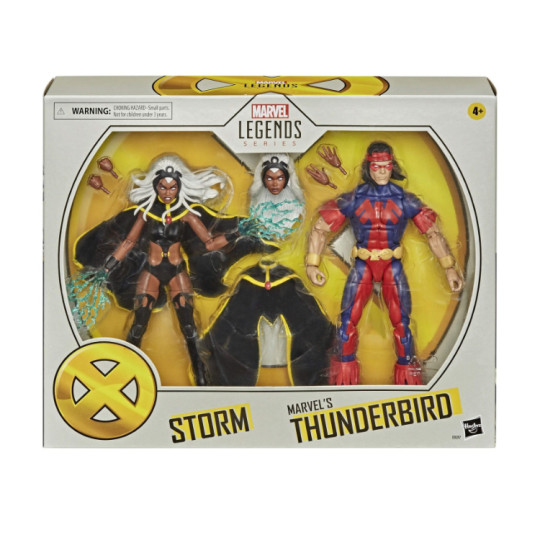 Storm & Thunderbird