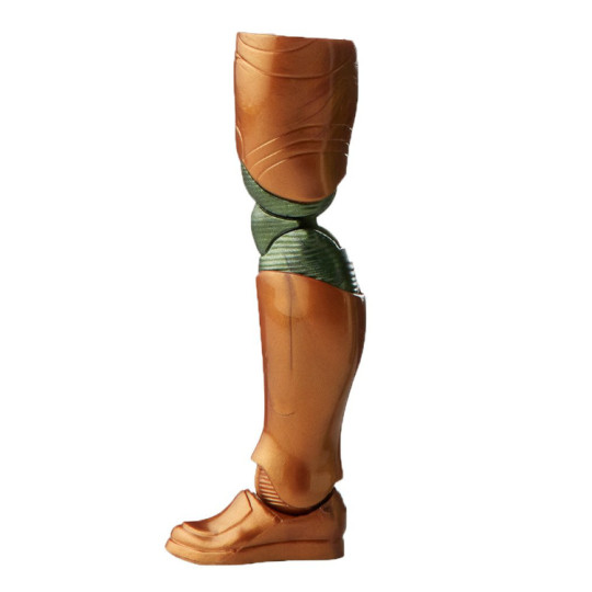 Left Leg