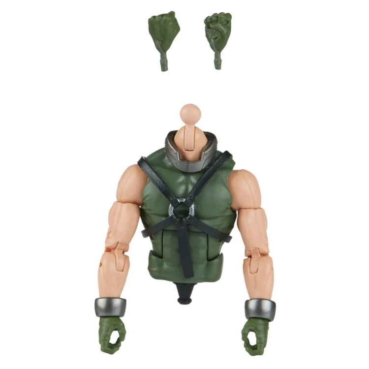 Torso